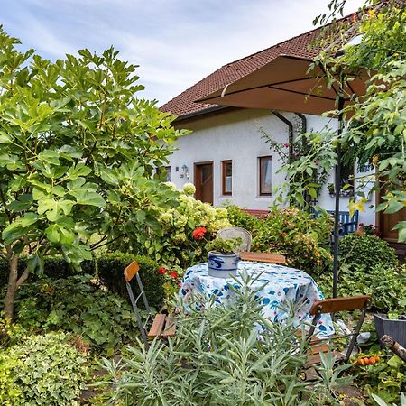 Ferienwohnung Alina Singen Buitenkant foto