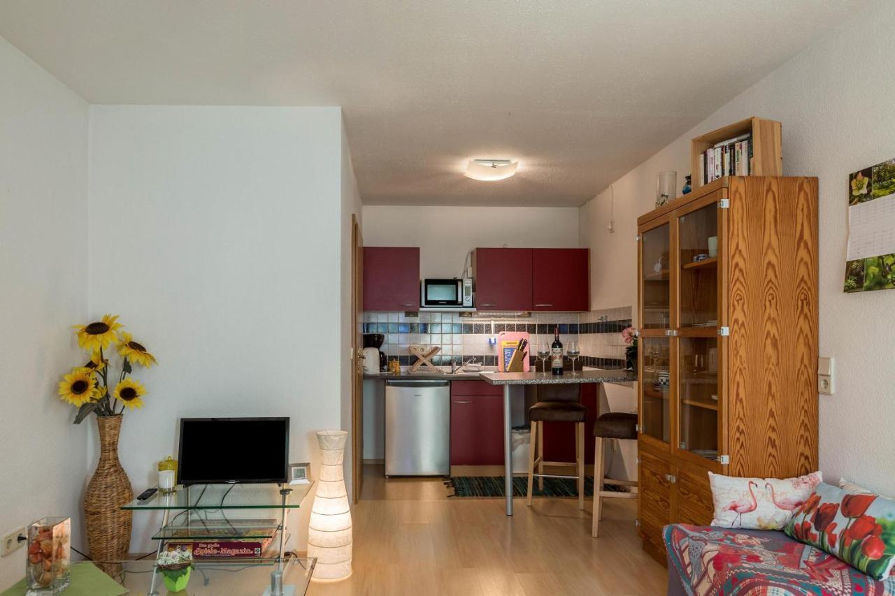 Ferienwohnung Alina Singen Buitenkant foto