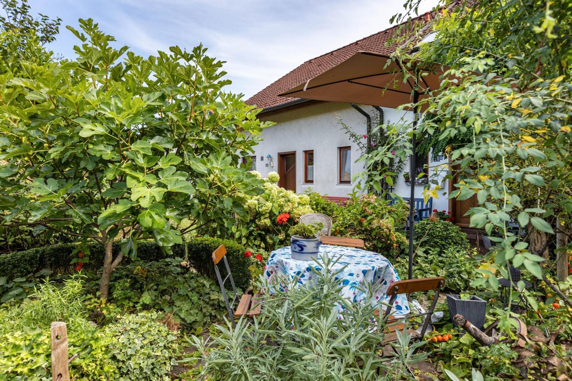 Ferienwohnung Alina Singen Buitenkant foto